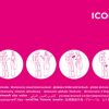 Travel ICON | Icon Classic Pink Indication Booklet Via Pictures Several