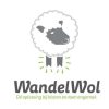 Mountain Sports & Winter Sports WALKING WOOL | Wandelwol Wandelwol 40 Gram Several