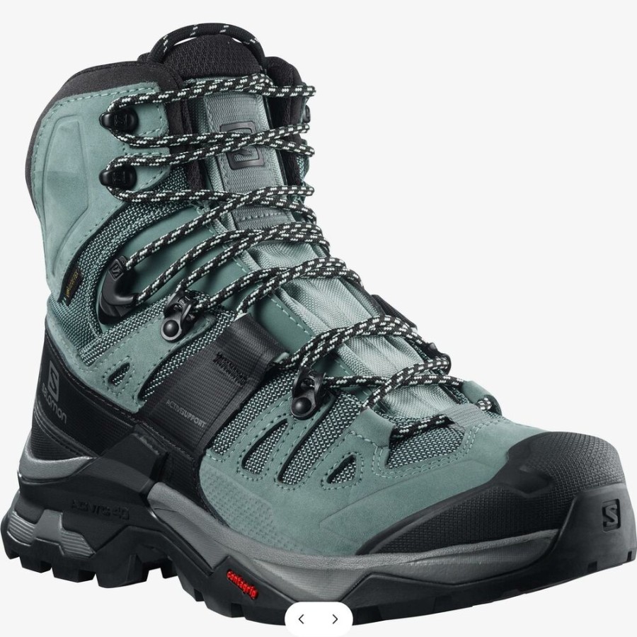 Shoes SALOMON | Salomon Quest 4 Gtx W Slate/Tropper Opal B