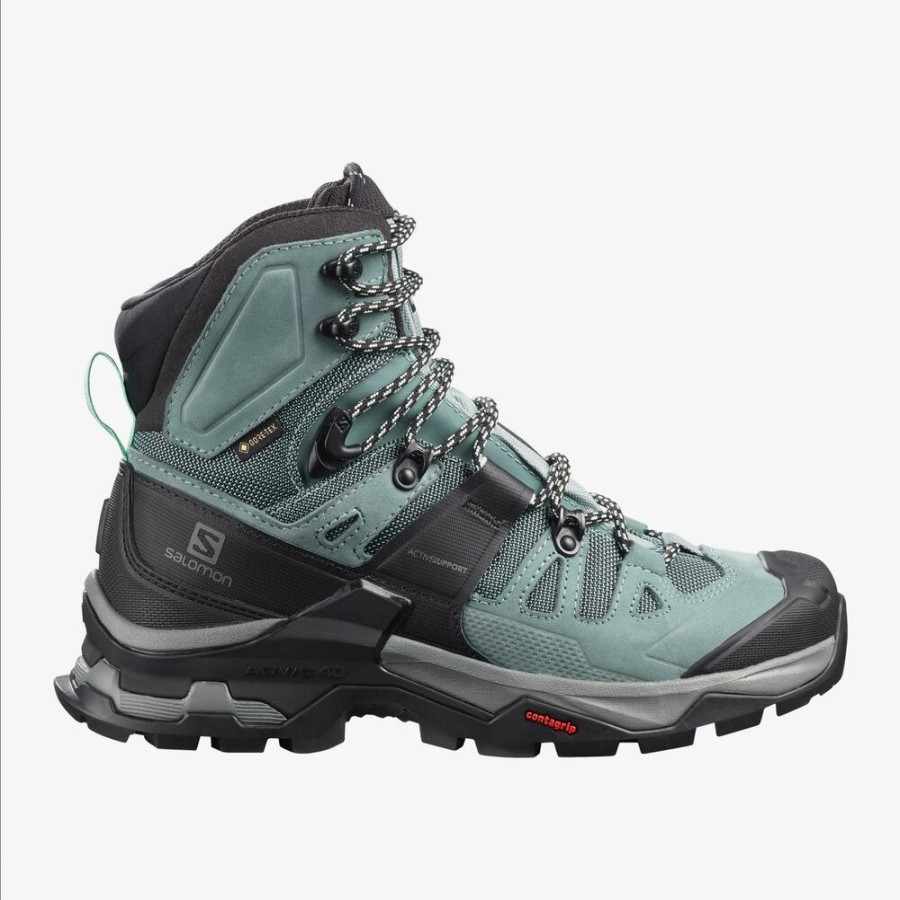 Shoes SALOMON | Salomon Quest 4 Gtx W Slate/Tropper Opal B