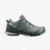 Shoes SALOMON | Salomon Xa Pro 3D V8 Gtx W Wandelschoen Gr/Green Gables