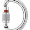 Mountain Sports & Winter Sports PETZL | Petzl Omni Screw-Lock - Schroefkarabiner Several