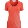 Outdoor Clothing ICEBREAKER | Icebreaker W Tech Lite Ii Ss Scoop Tee Plume Vibrant Earth